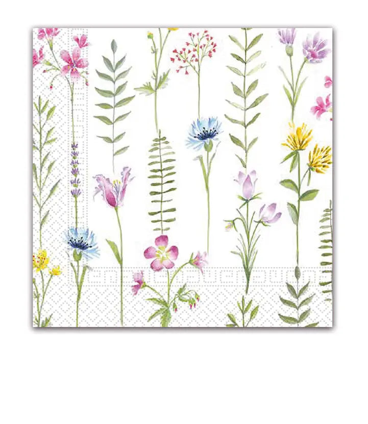 Botanical