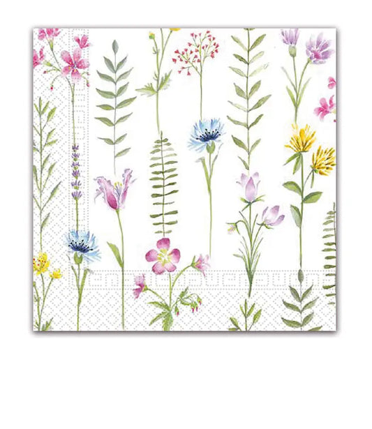 Botanical