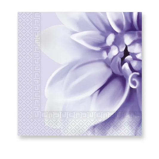 Purple Dahlia