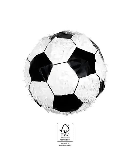 3D Pinata Football